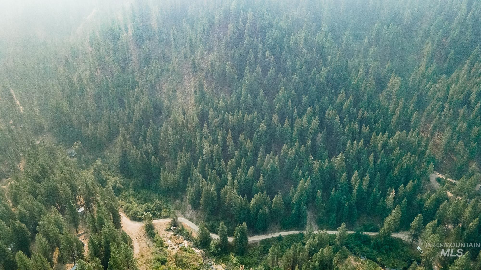 TBD Forestland