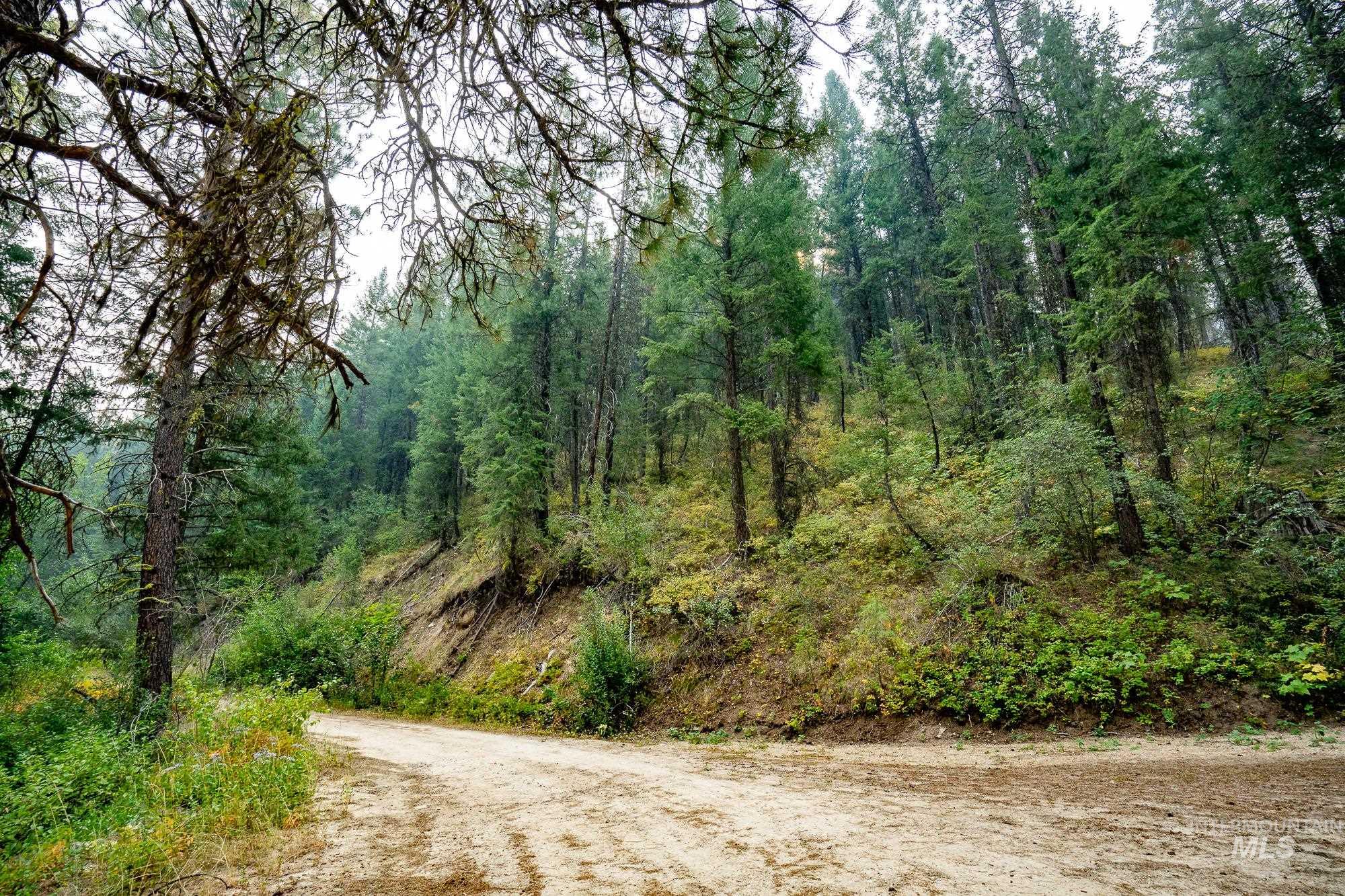 TBD Forestland