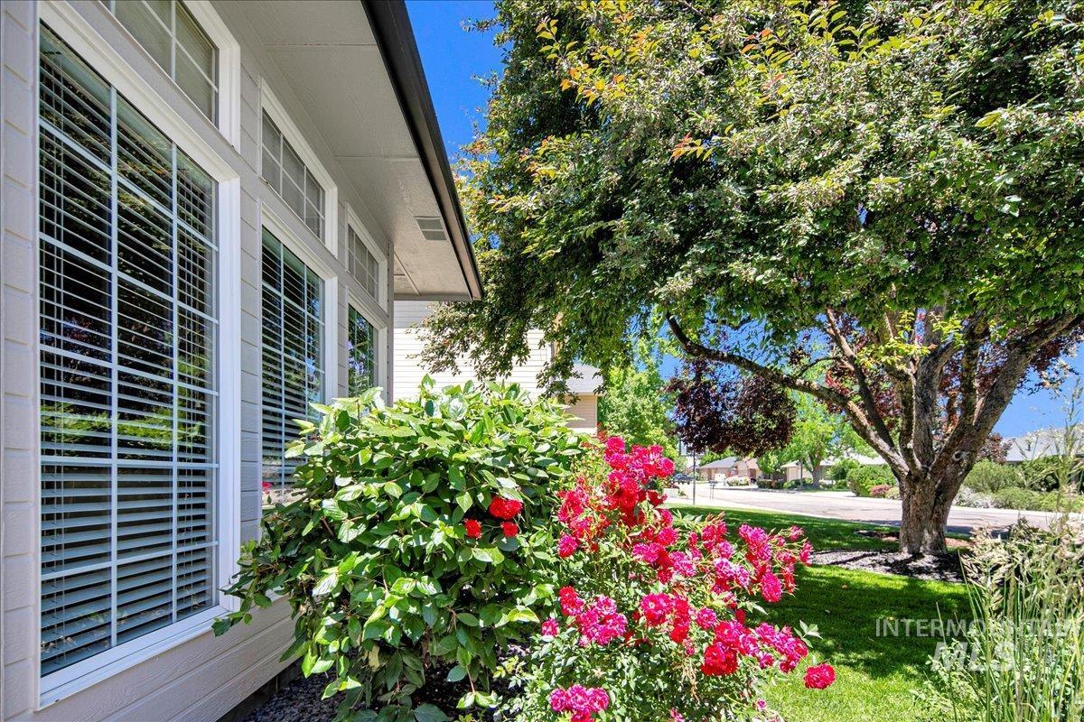 1049 N Purple Sage Way