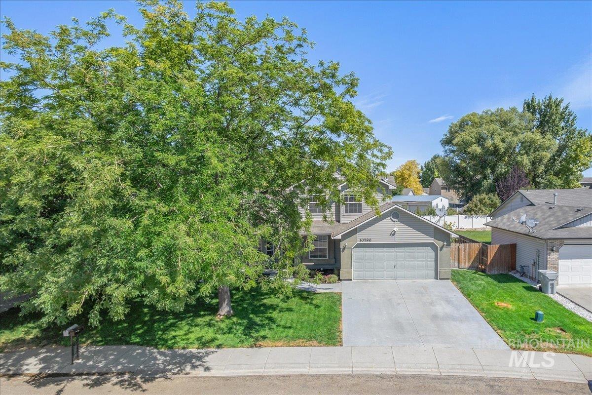 10790 Saffron Drive