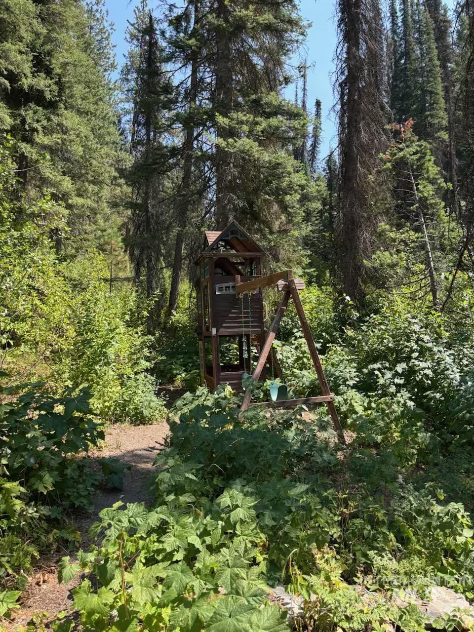 4775 Ponderosa Pine Scenic Bywy