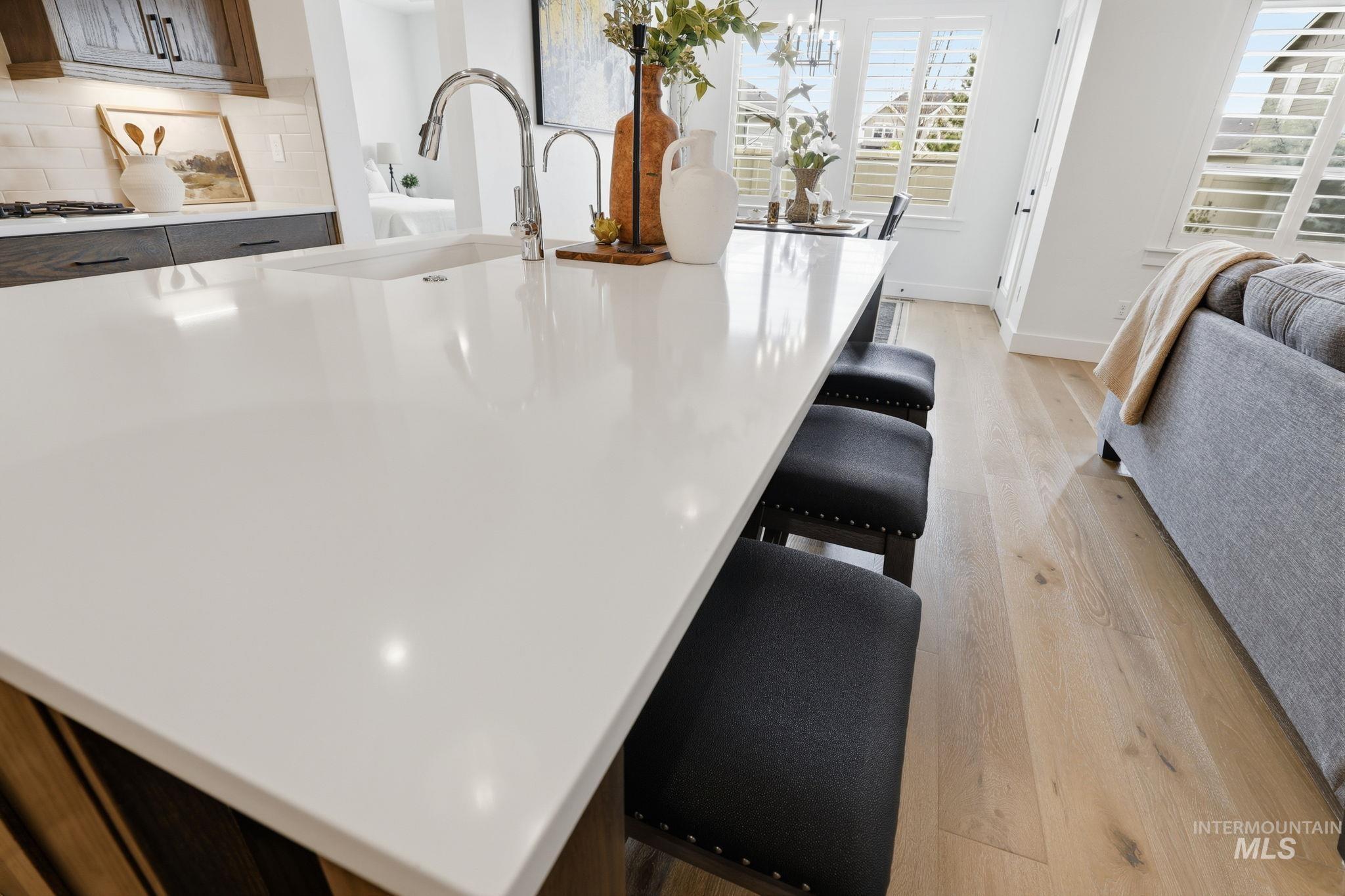 11371 W Heliopsis Dr