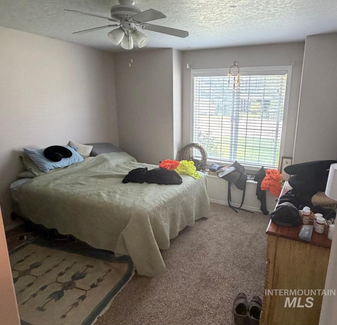 441 War Eagle Way