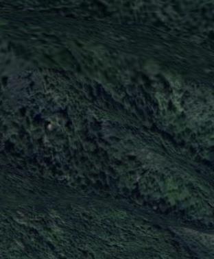 1 Redwood Retreat RD