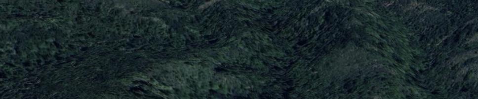 1 Redwood Retreat RD