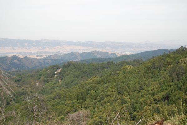 1 Redwood Retreat RD