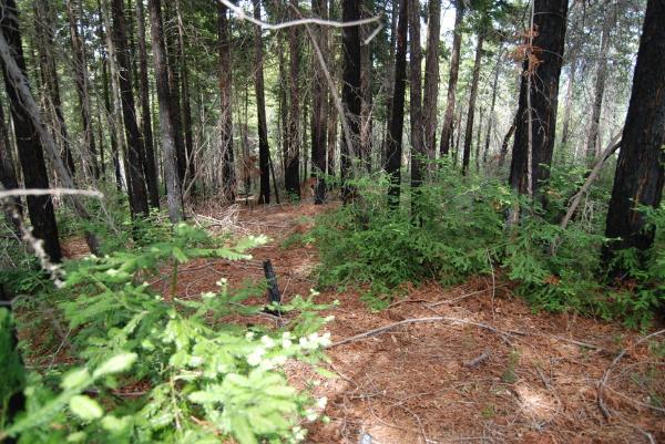 1 Redwood Retreat RD