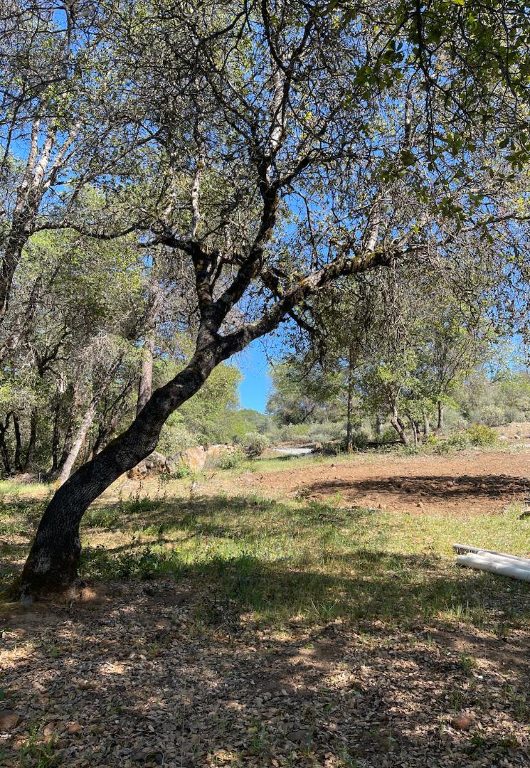 11550 Rex Reservoir RD