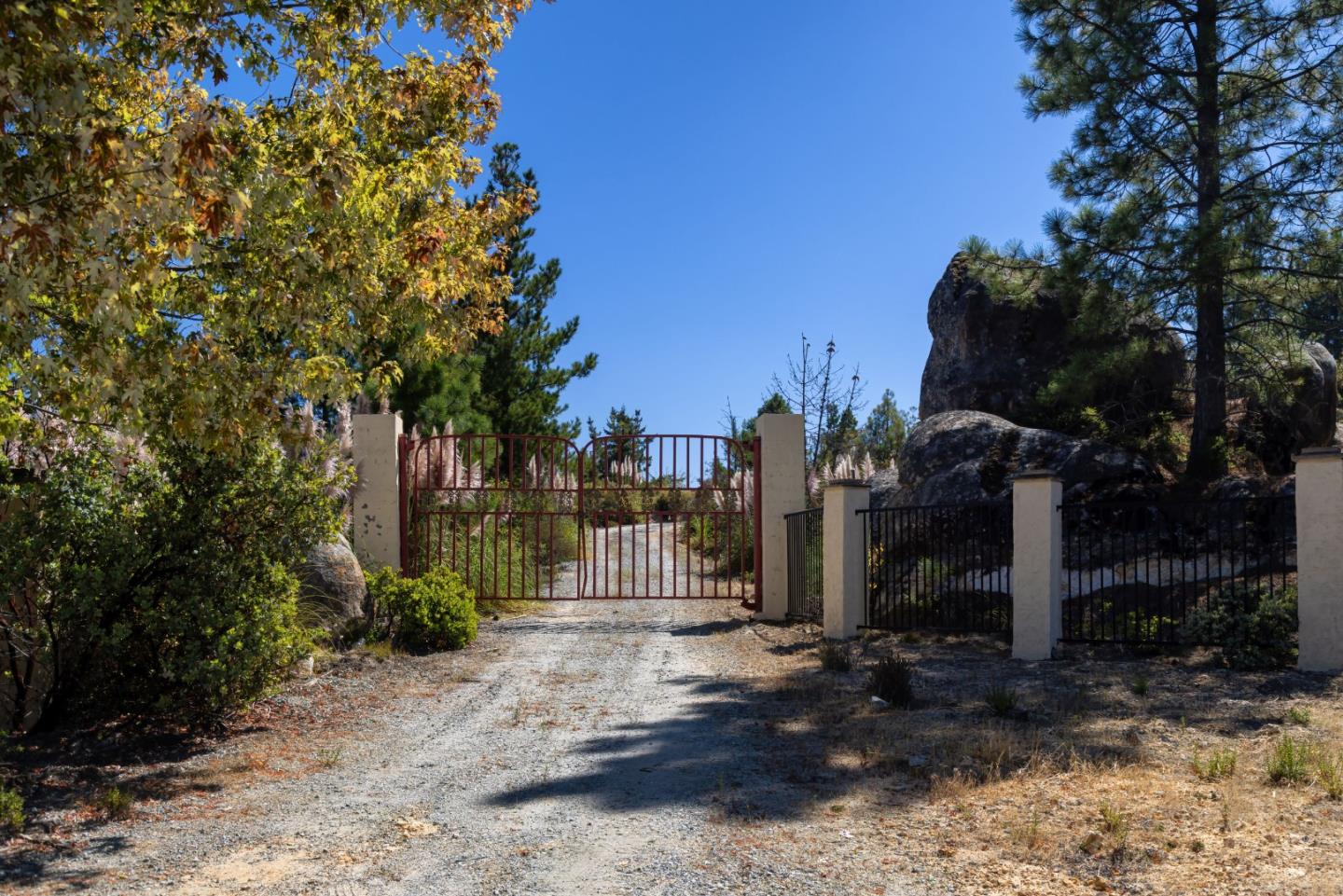 301 Red Dog Ridge