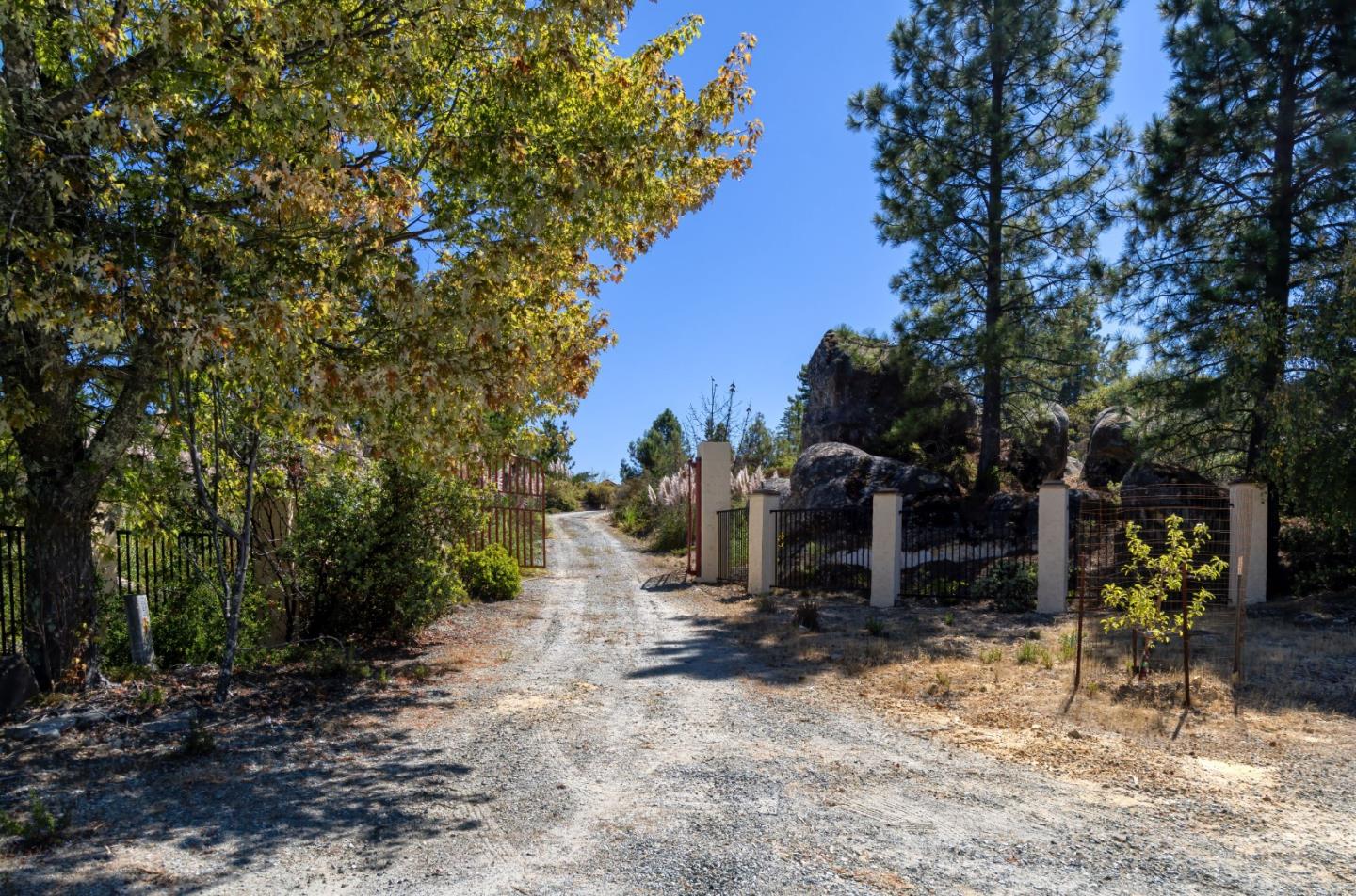 301 Red Dog Ridge