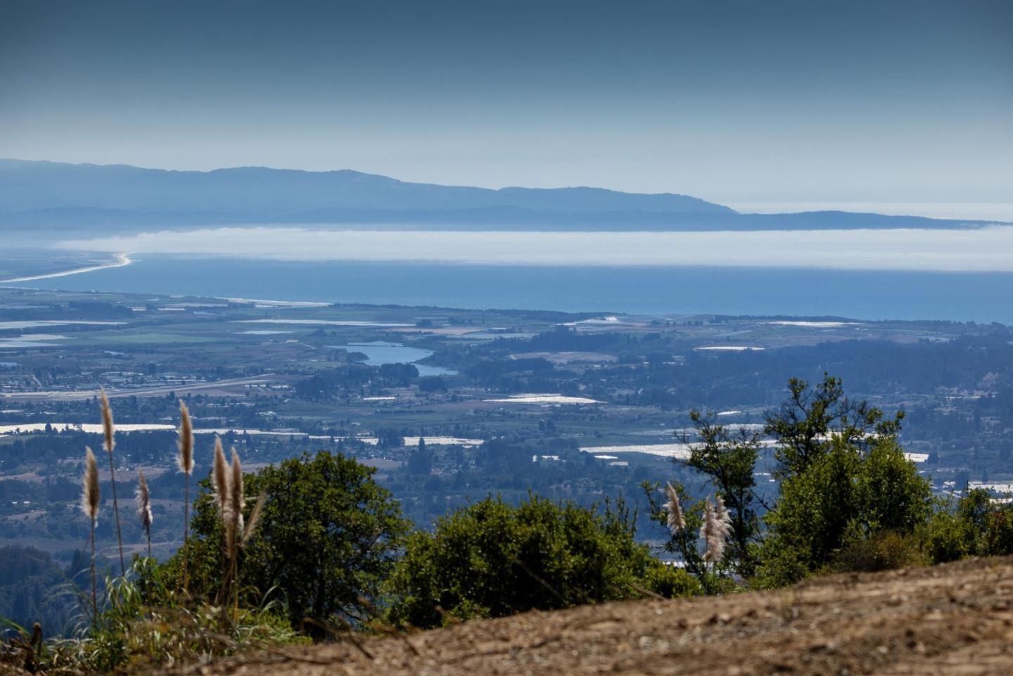301 Red Dog Ridge