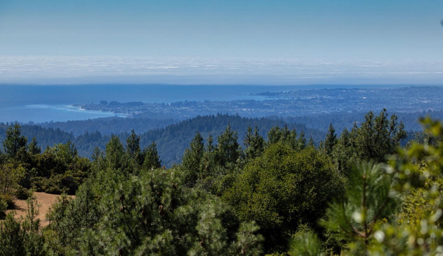 301 Red Dog Ridge