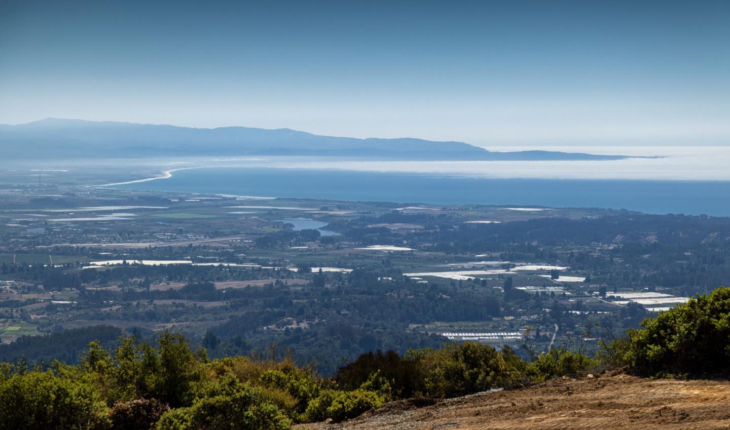 301 Red Dog Ridge