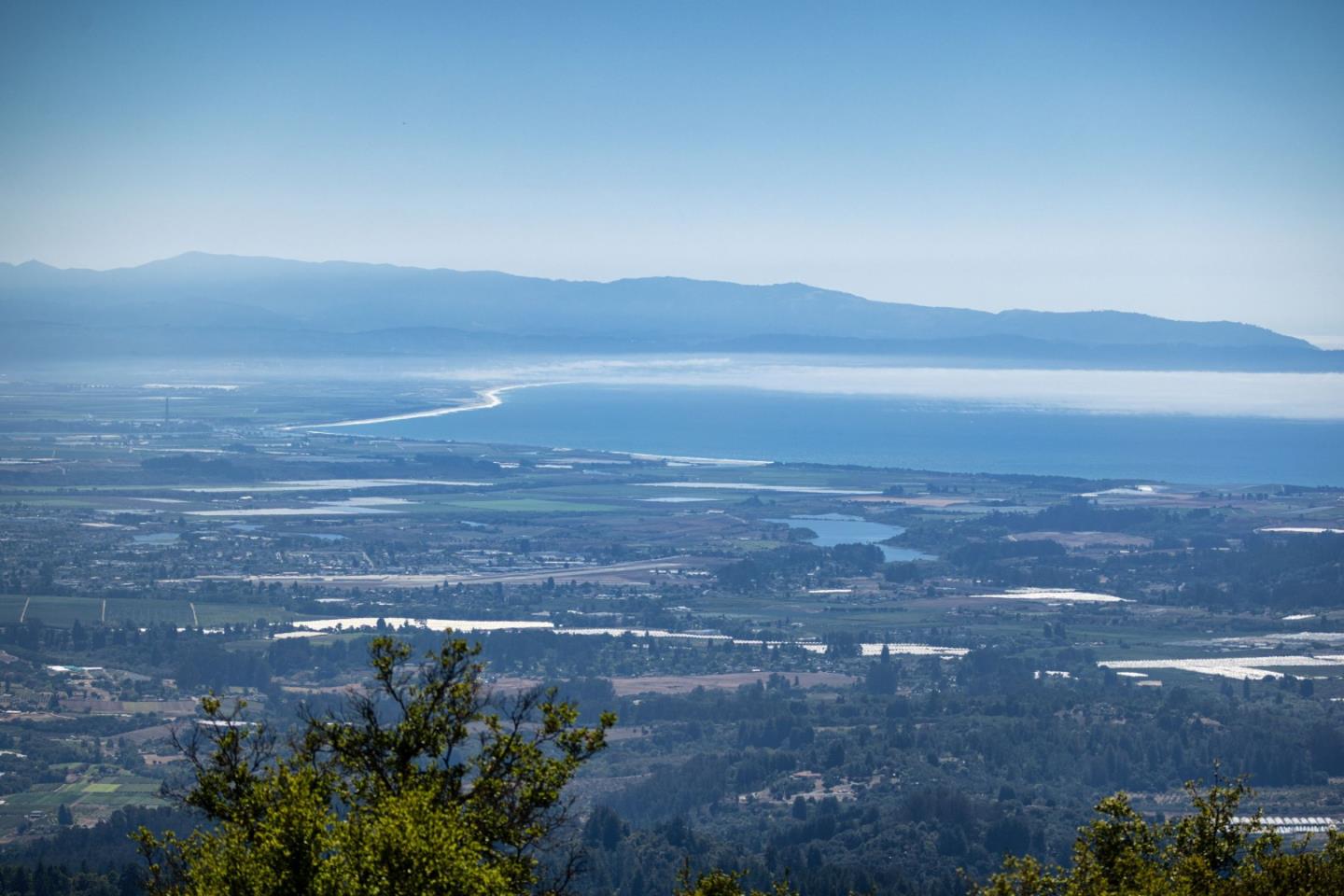 301 Red Dog Ridge