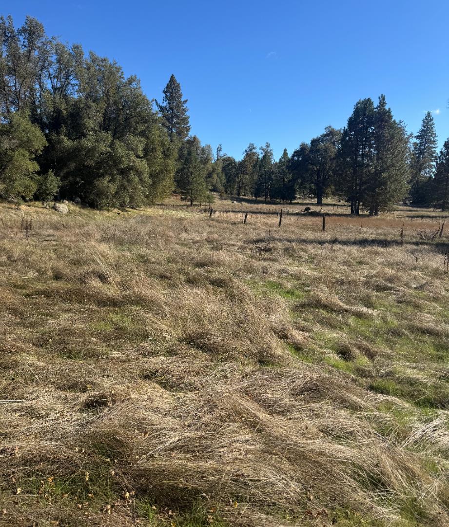 Rural vacant land with a dry-grass meadow, scattered fence posts, and mature trees.