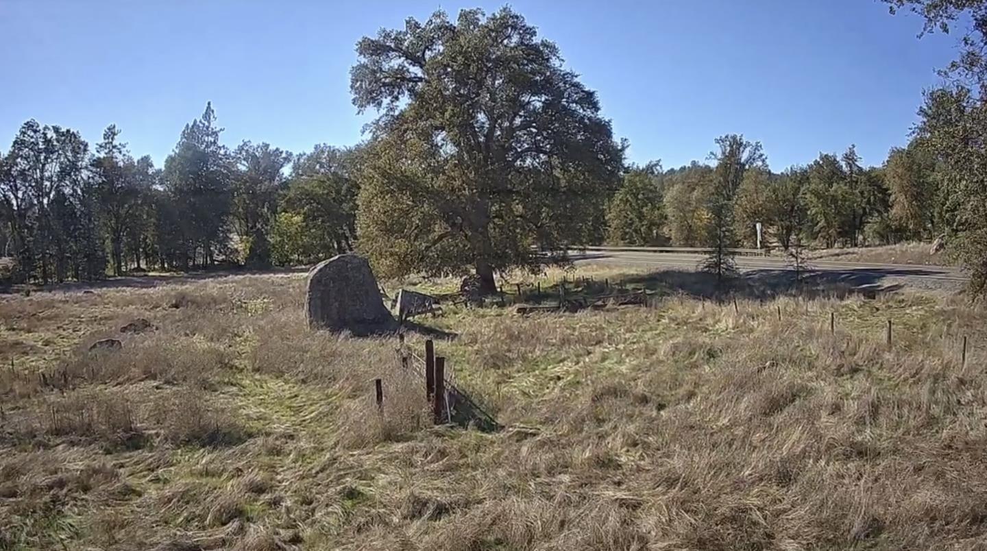 Rural grassy lot with a large oak tree, fence posts, and a road beyond.