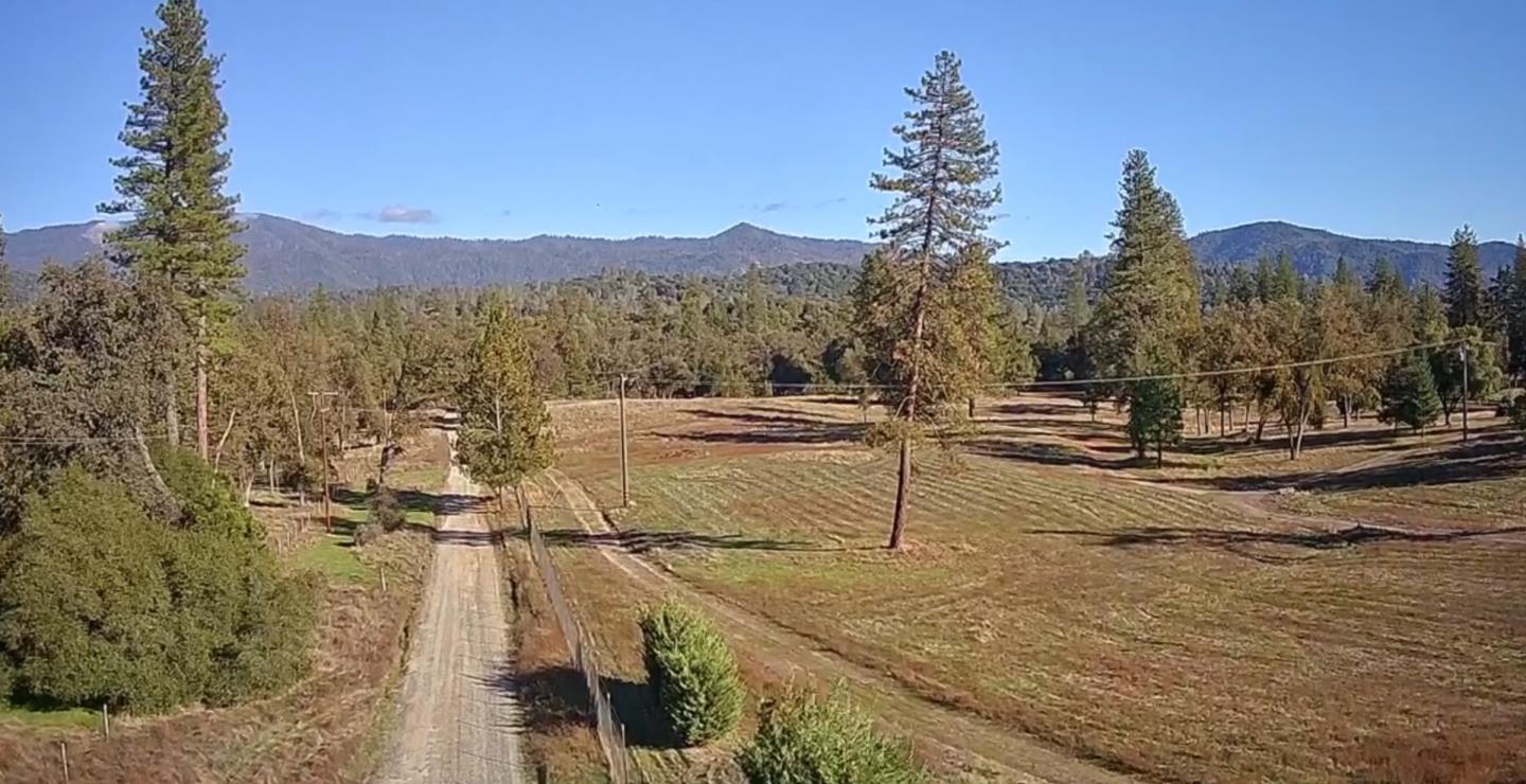 Aerial view of open acreage with a dirt driveway, scattered pines, and distant mountains.