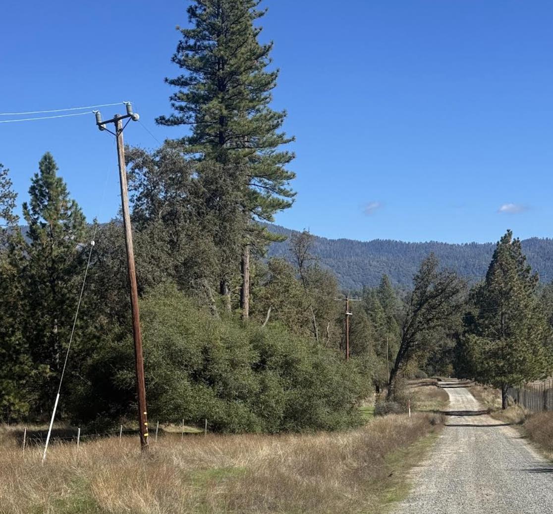 Gravel driveway crosses dry, pine-covered land toward wooded mountain ridges.