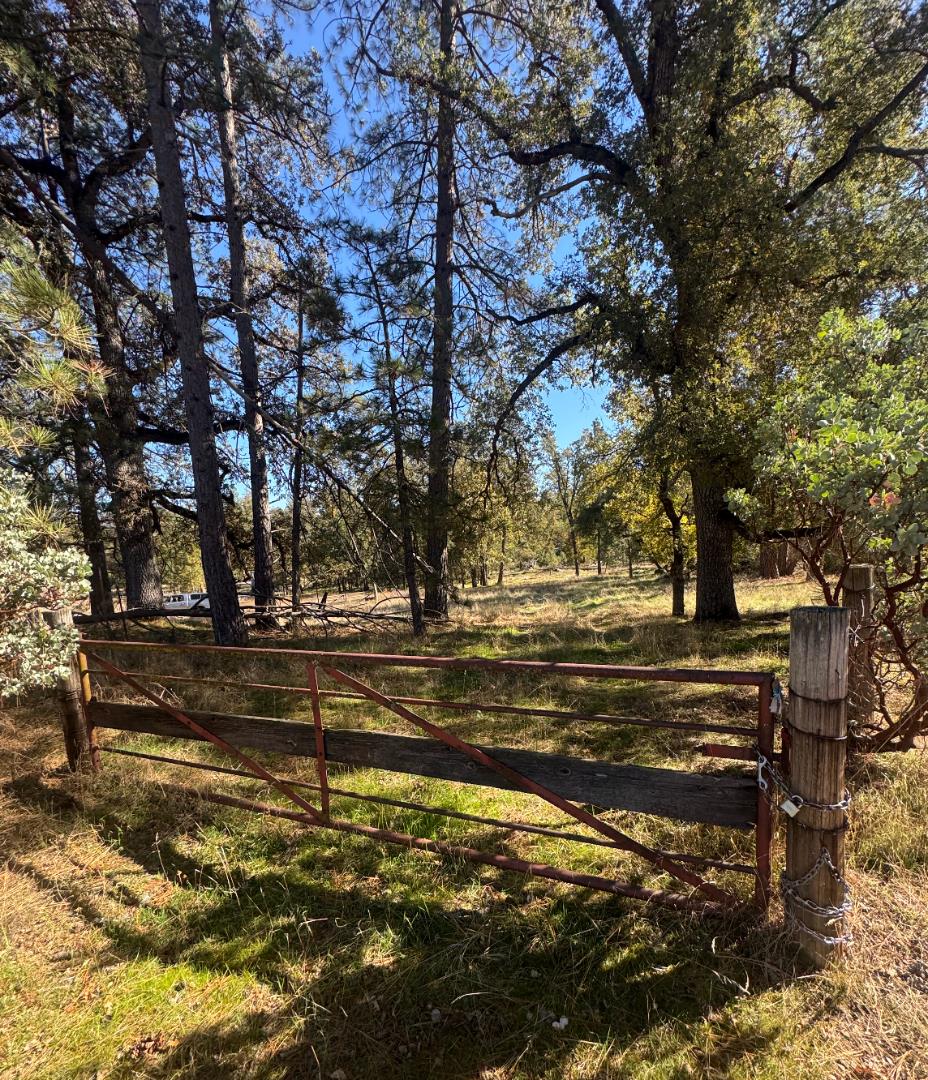 Wooded rural property behind a rust-red metal gate, with tall trees and a sunny grassy clearing.