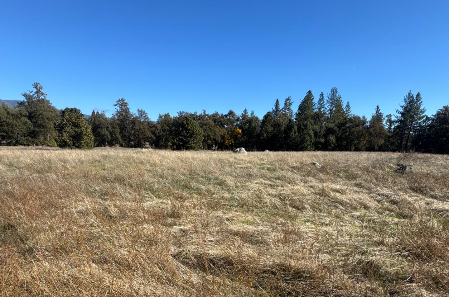 Open grassy field with scattered rocks and trees along the far edge.