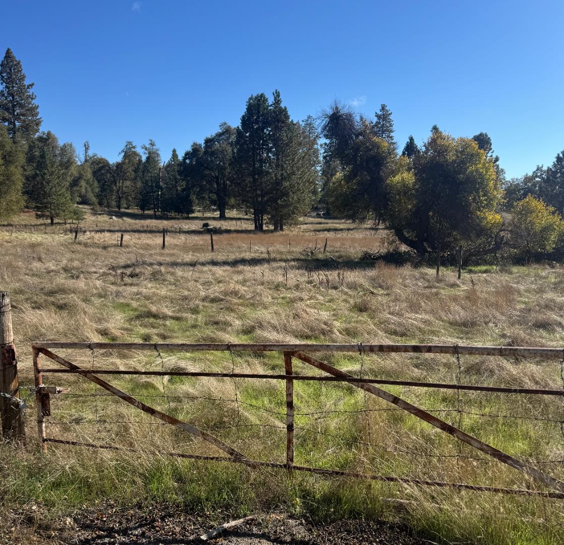 Grassy rural field behind a weathered wooden gate, with scattered trees in the background.