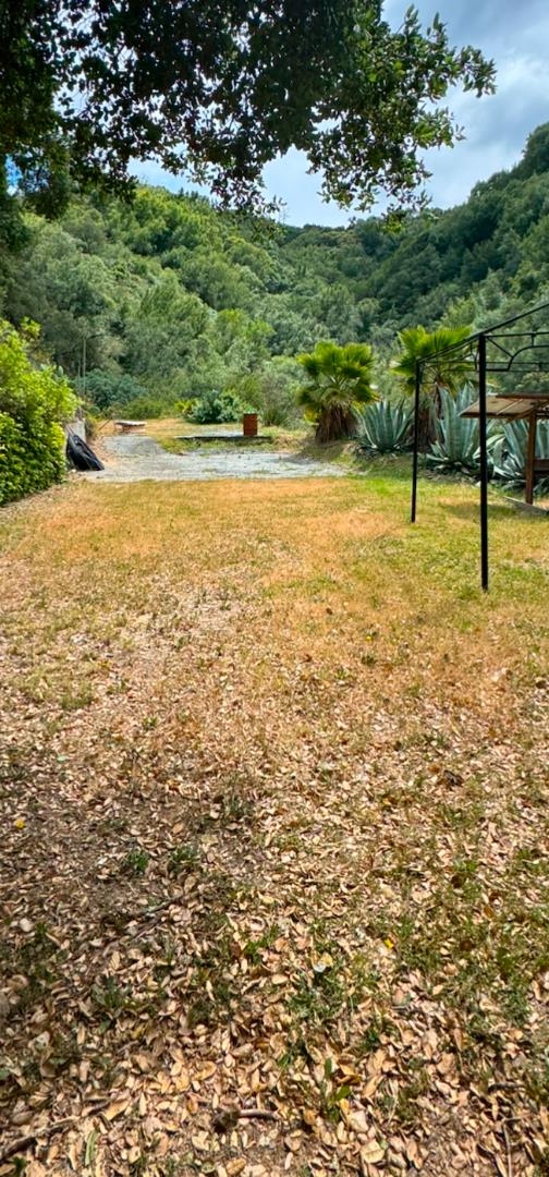 Grassy clearing bordered by dense trees, with wooded hills and a metal pergola.