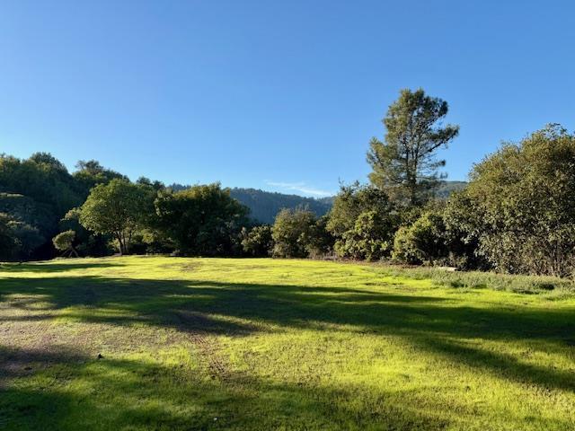 Grassy meadow bordered by trees, with wooded hills in the distance.
