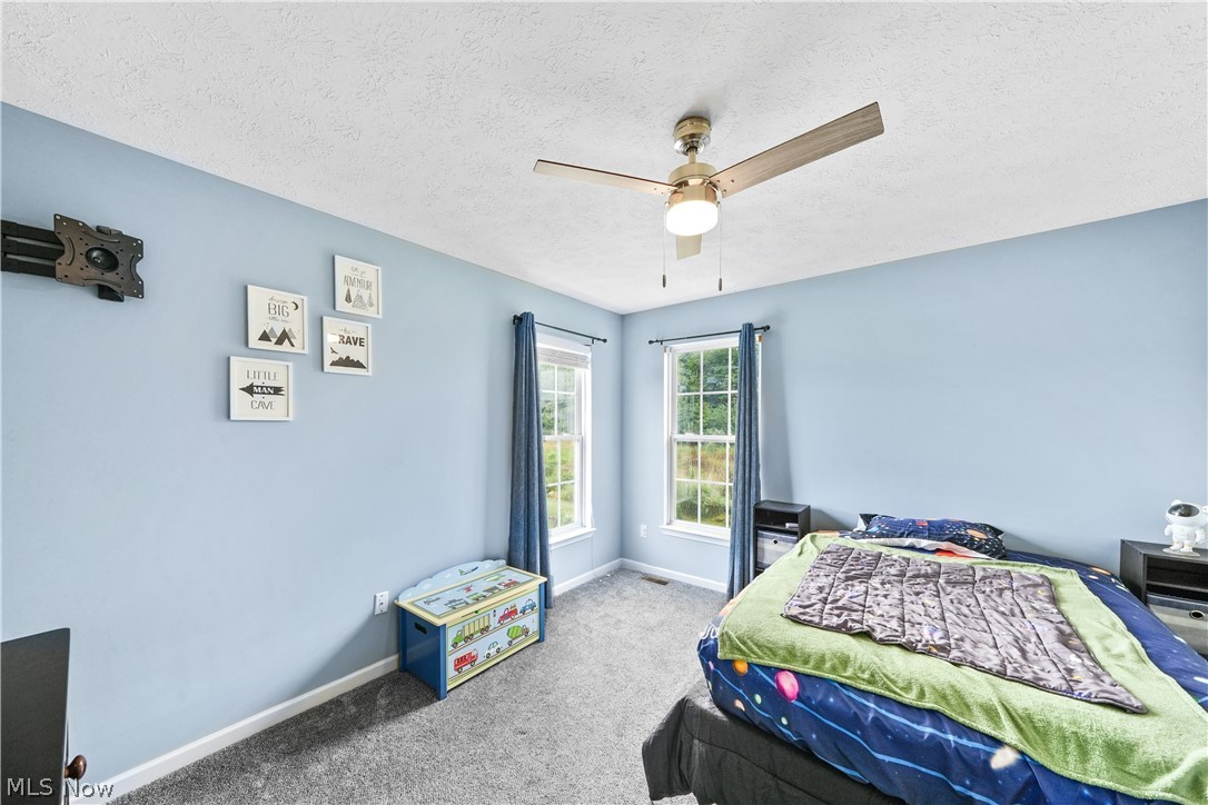 1223 Tinkers Green Drive