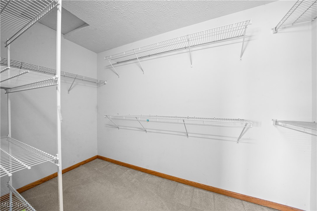 2406 Timber Mill Drive