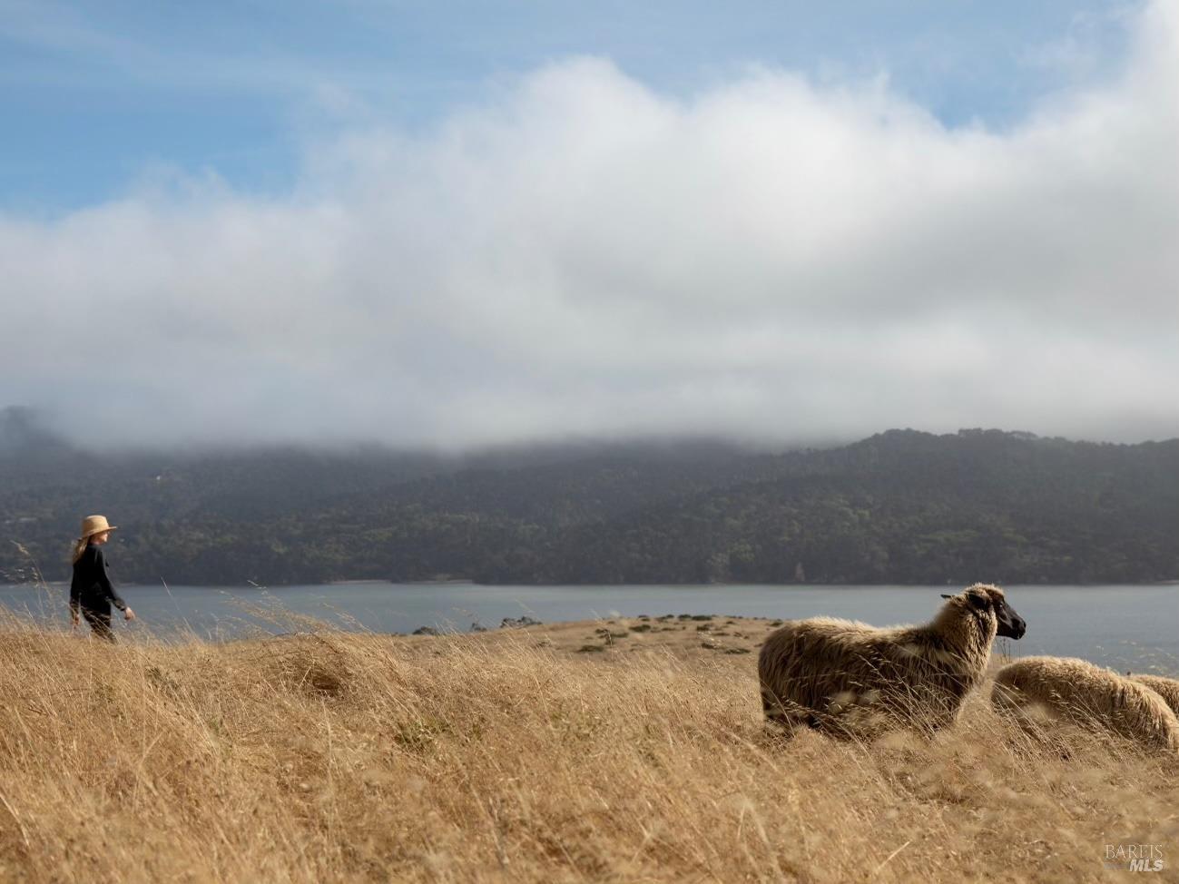 17990 State Route1 Hwy