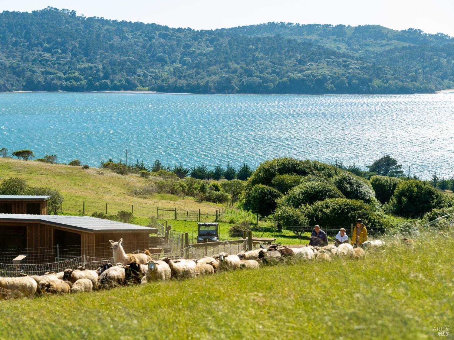 17990 State Route1 Hwy