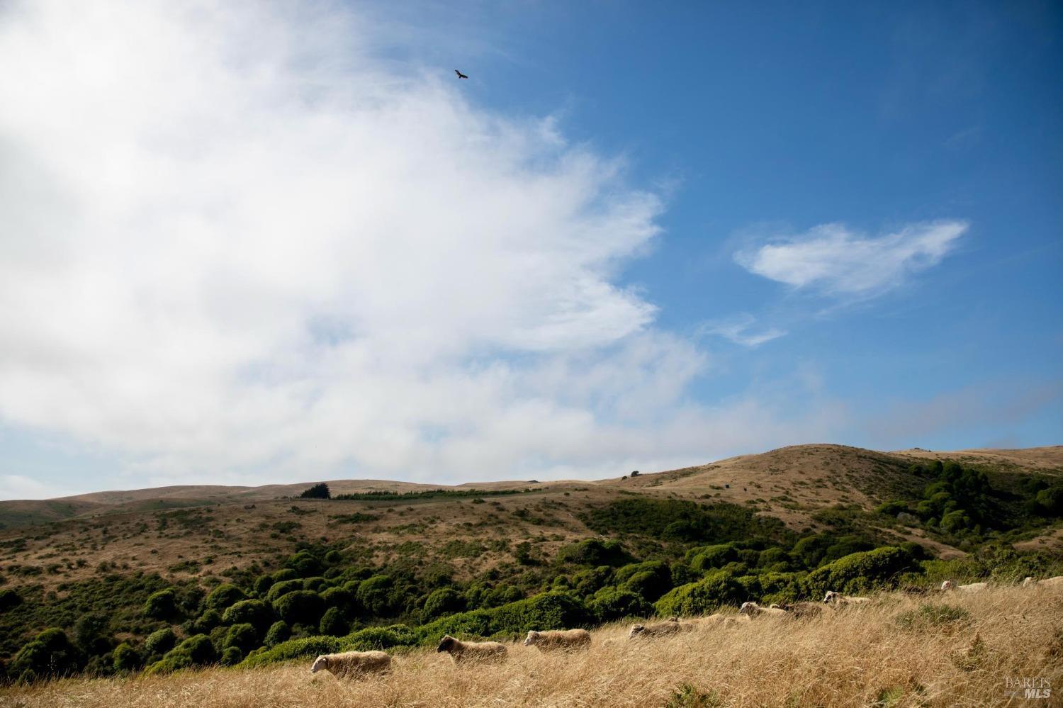 17990 State Route1 Hwy