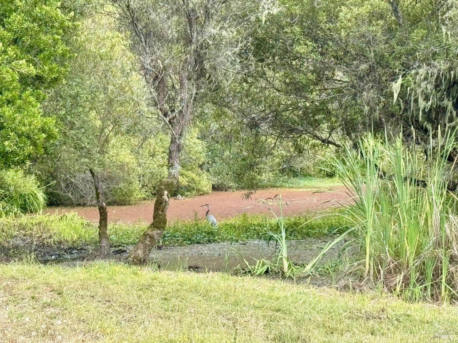 17990 State Route1 Hwy