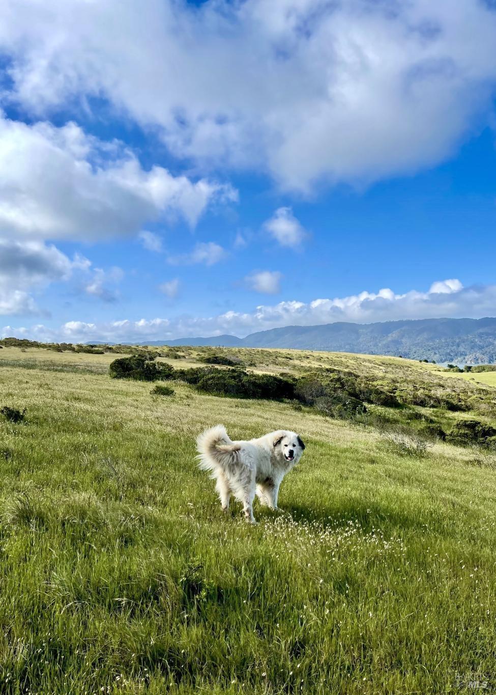 17990 State Route1 Hwy