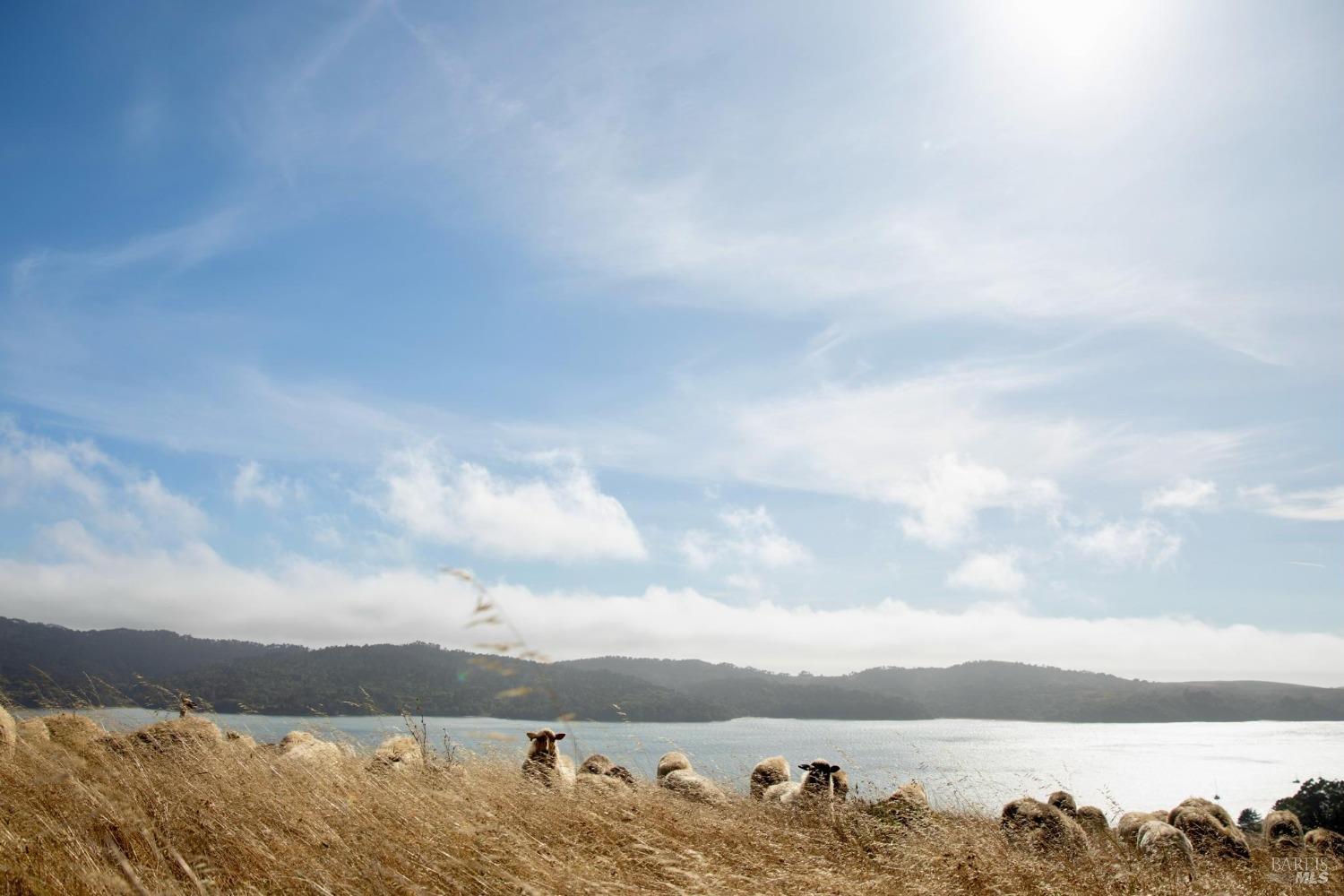 17990 State Route1 Hwy