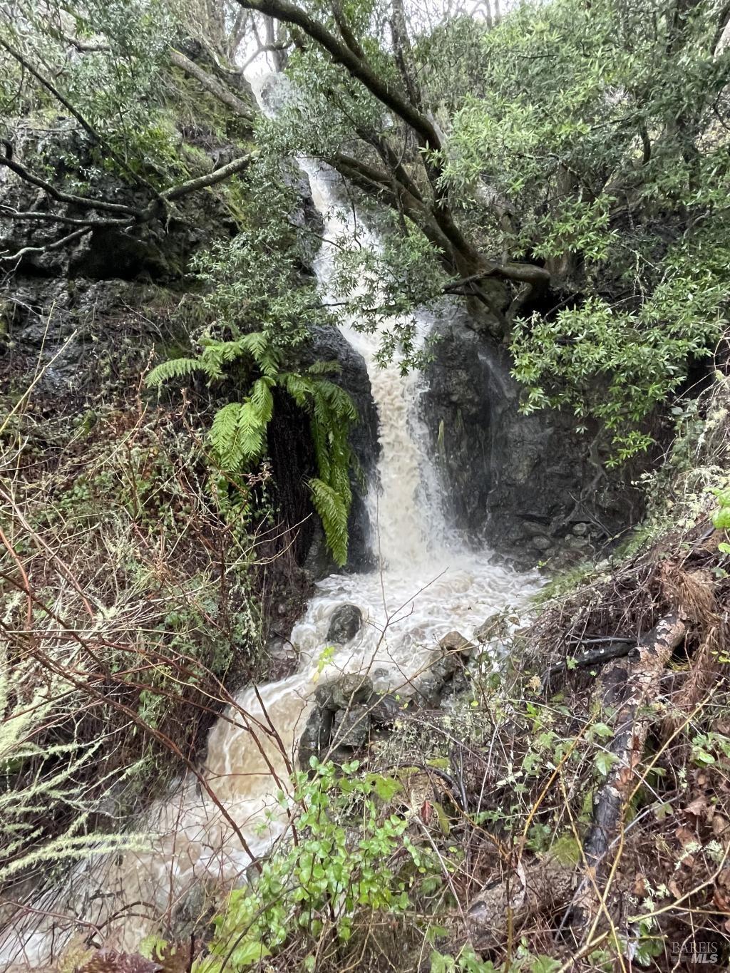 17990 State Route1 Hwy