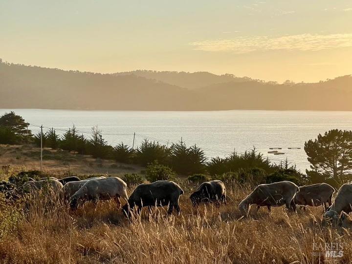 17990 State Route1 Hwy