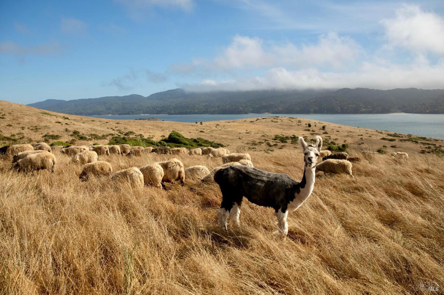 17990 State Route1 Hwy