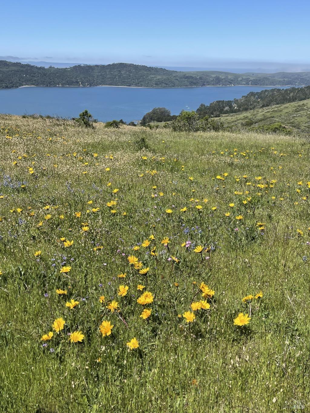 17990 State Route1 Hwy