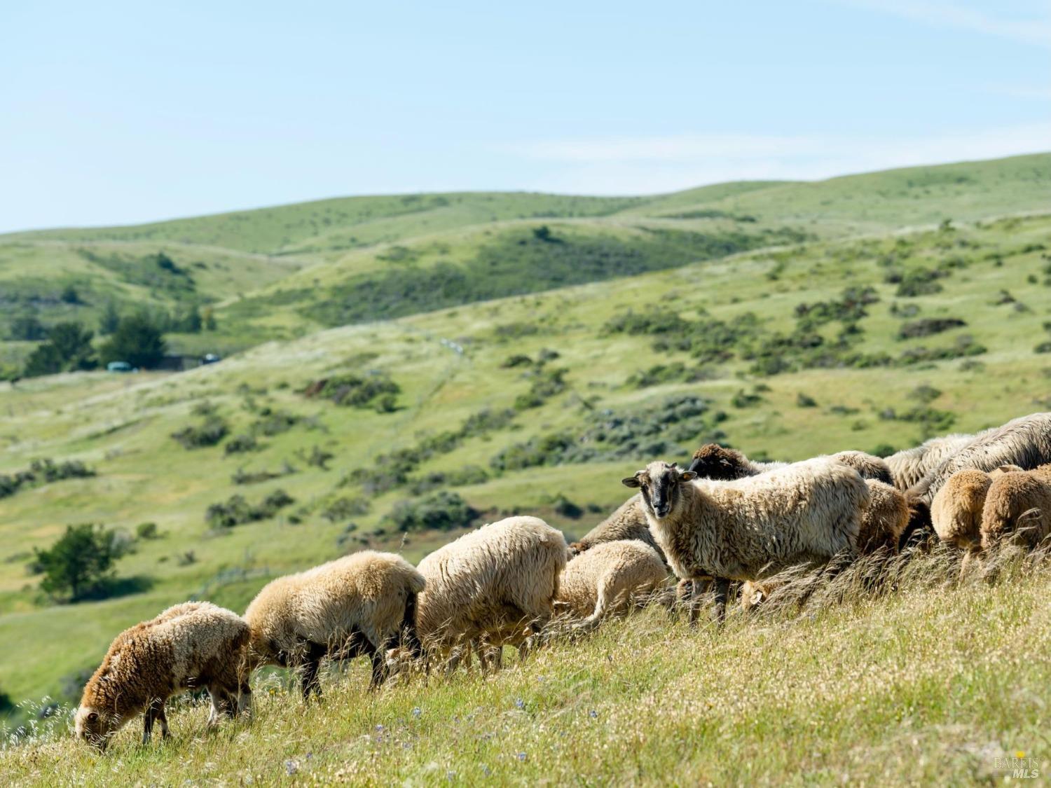 17990 State Route1 Hwy