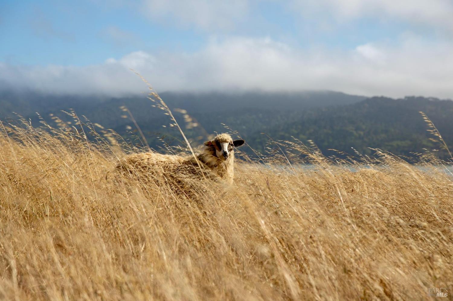 17990 State Route1 Hwy