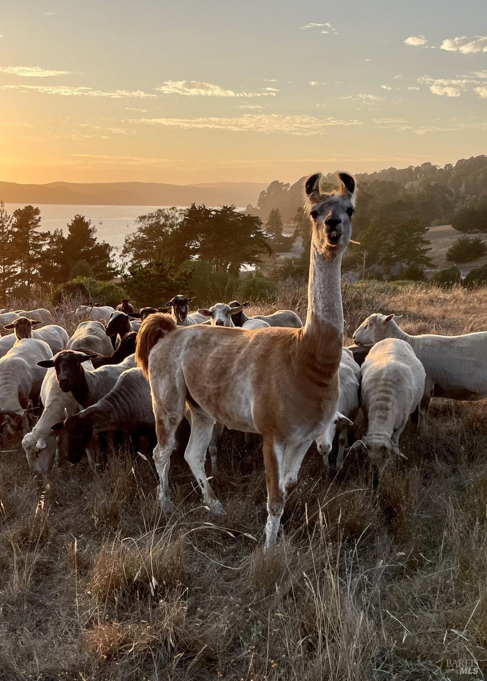 17990 State Route1 Hwy