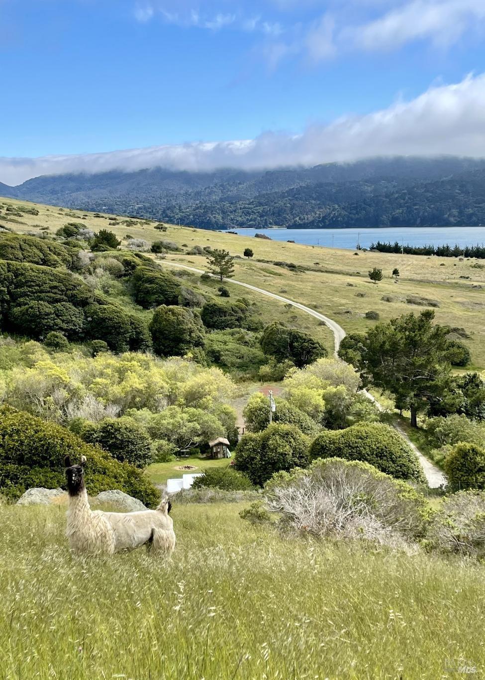 17990 State Route1 Hwy