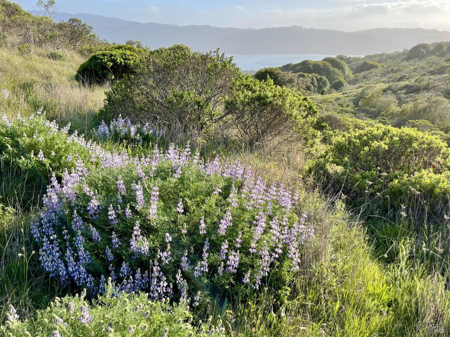 17990 State Route1 Hwy