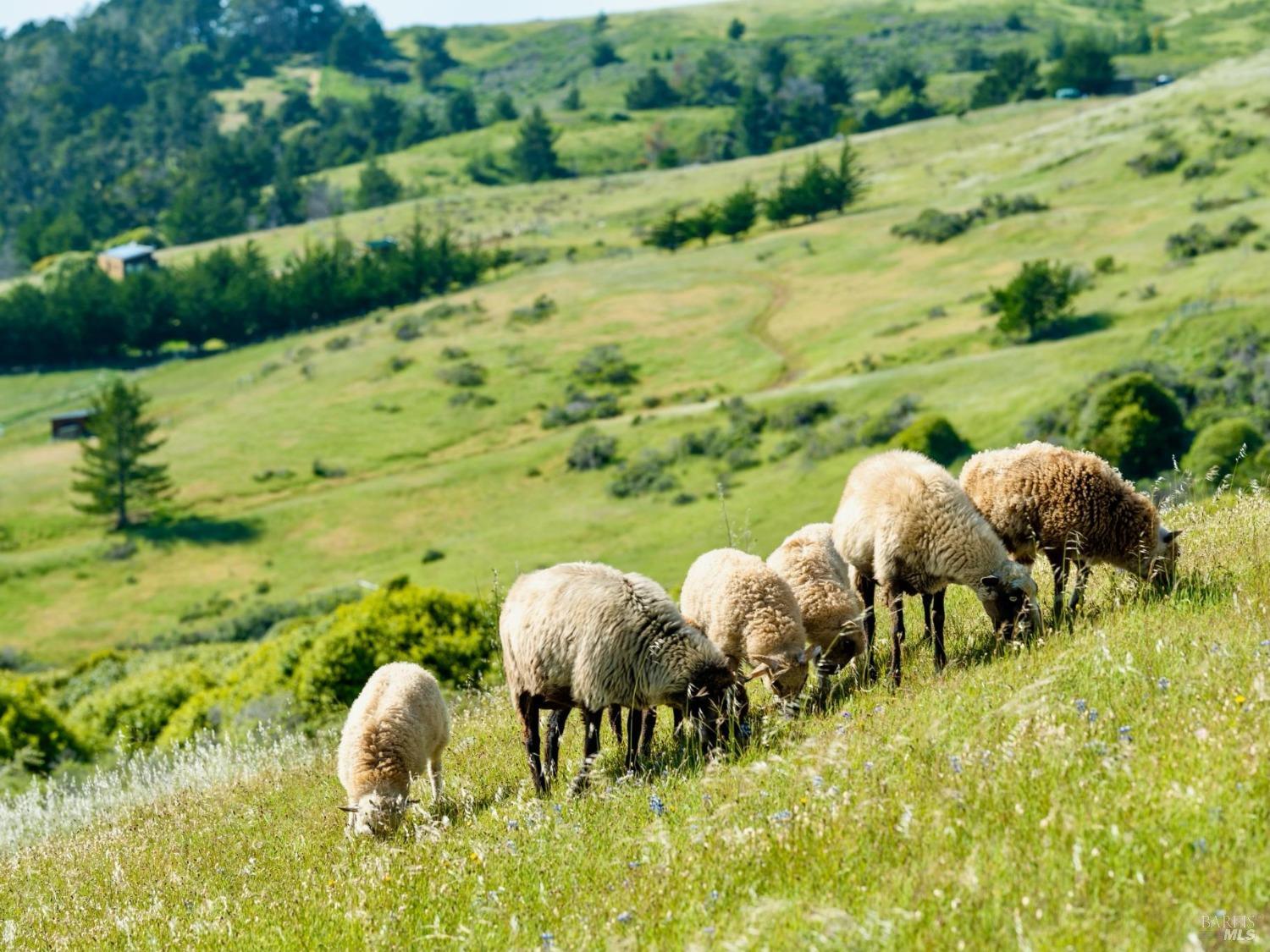 17990 State Route1 Hwy