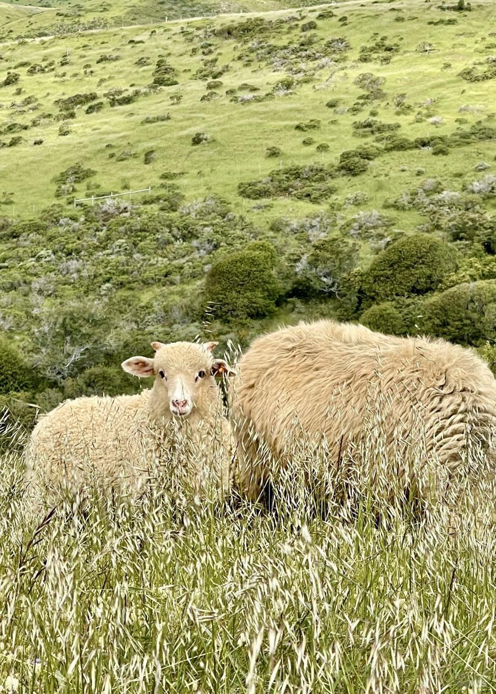 17990 State Route1 Hwy