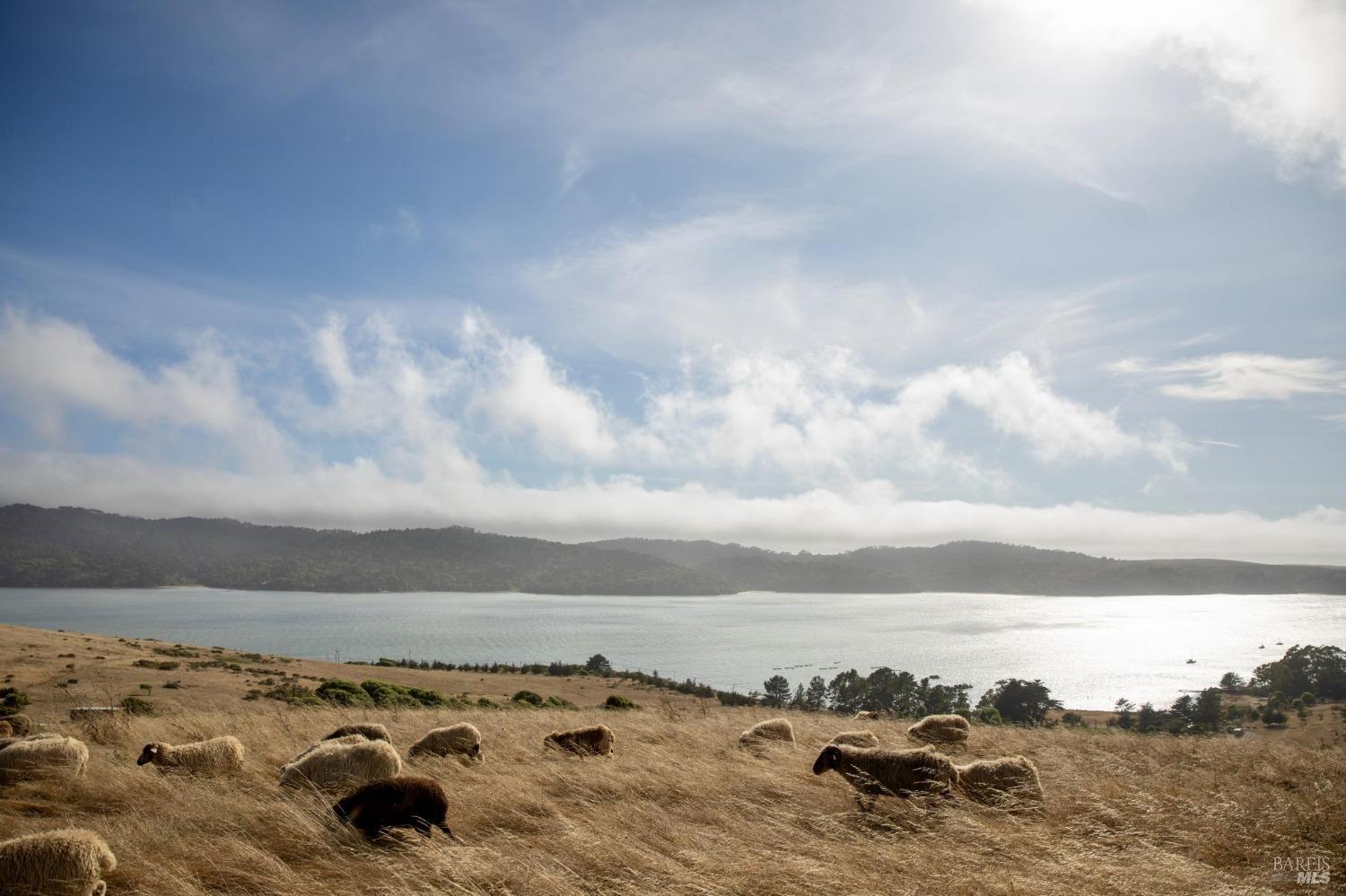 17990 State Route1 Hwy