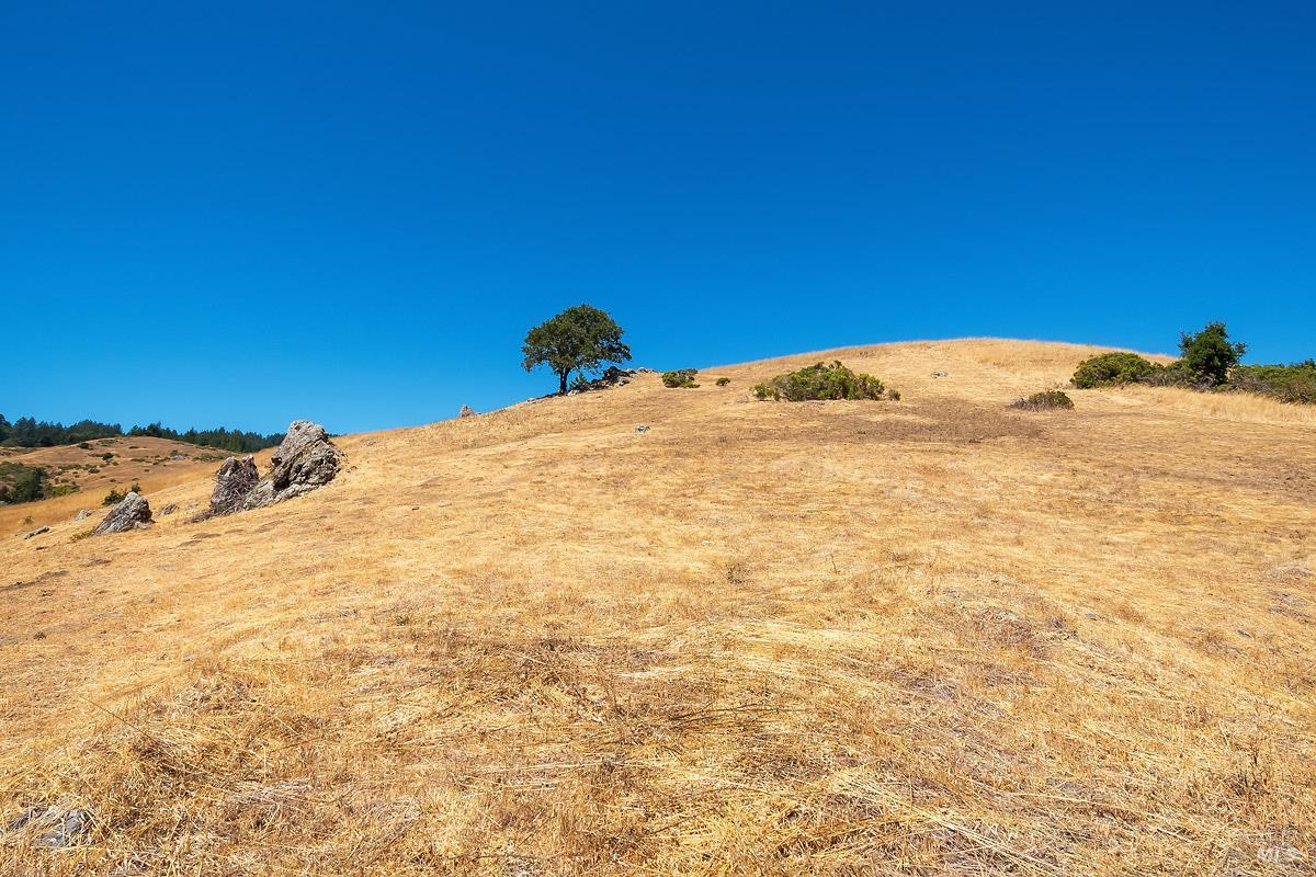 0 W Nicasio Road