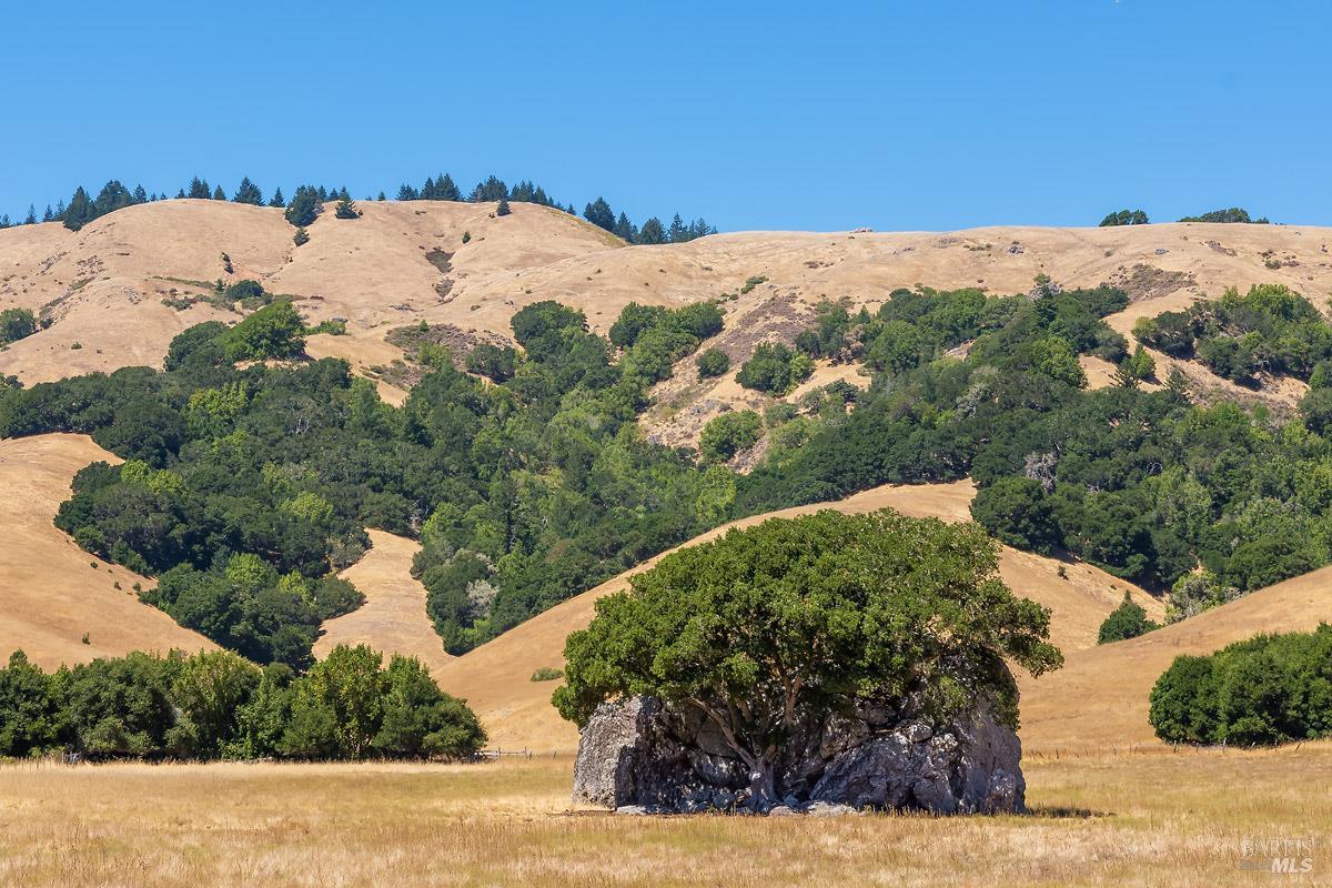 0 W Nicasio Road