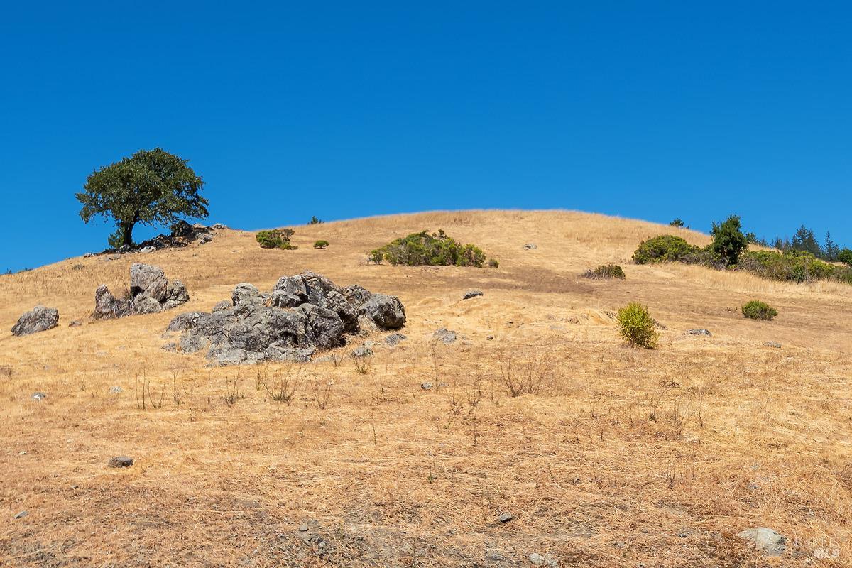 0 W Nicasio Road